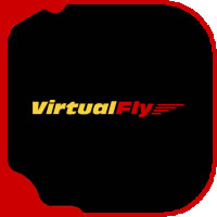 VirtualFly